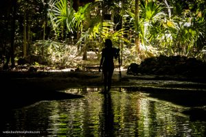 Cenote Chikin Ha Private Tour Photo Safari