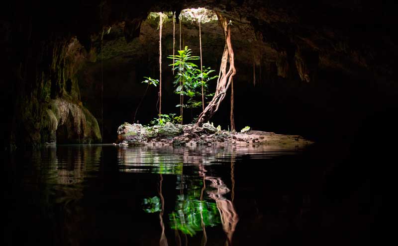 Chikin Ha Cenote Private Tour Photo Safari