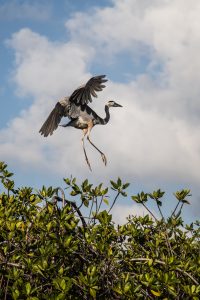 bird watching nature tour