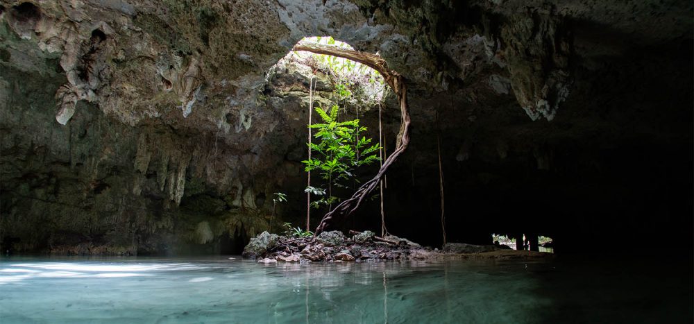 Tulum Early Access & Cenote Snorkeling | Private Tours Playa del Carmen ...