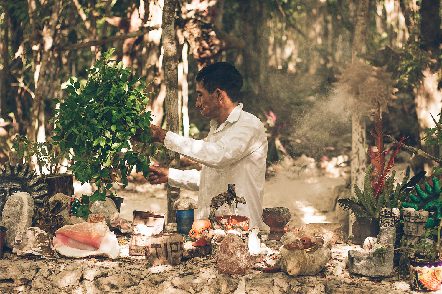 Temazcal & Cenote | Private Tours Photosafari Playa del Carmen