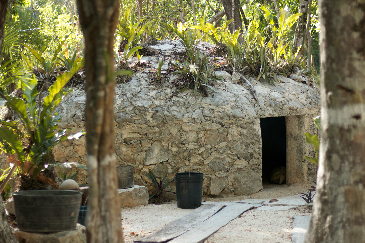 Temazcal & Cenote | Private Tours Photosafari Playa del Carmen