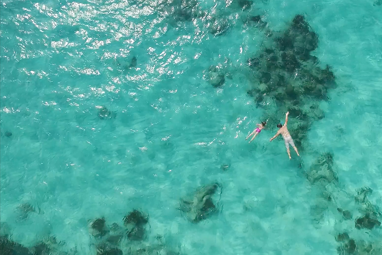 Bushman Photo - Private Tours Riviera Maya -Coral Reef Snorkeling