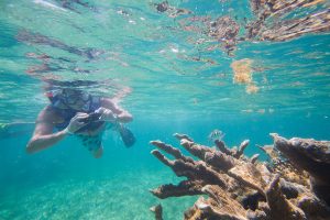 Bushman Photo - Private Tours Riviera Maya - Snorkeling in Puerto Morelos