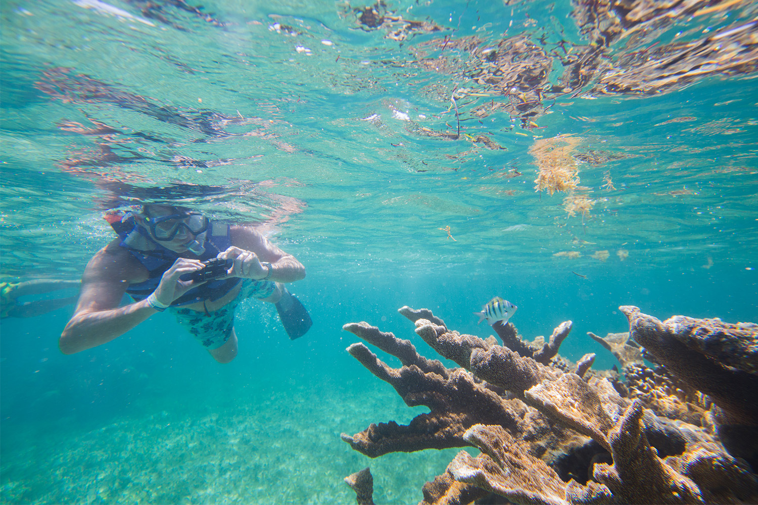 Bushman Photo - Private Tours Riviera Maya - Snorkeling in Puerto Morelos
