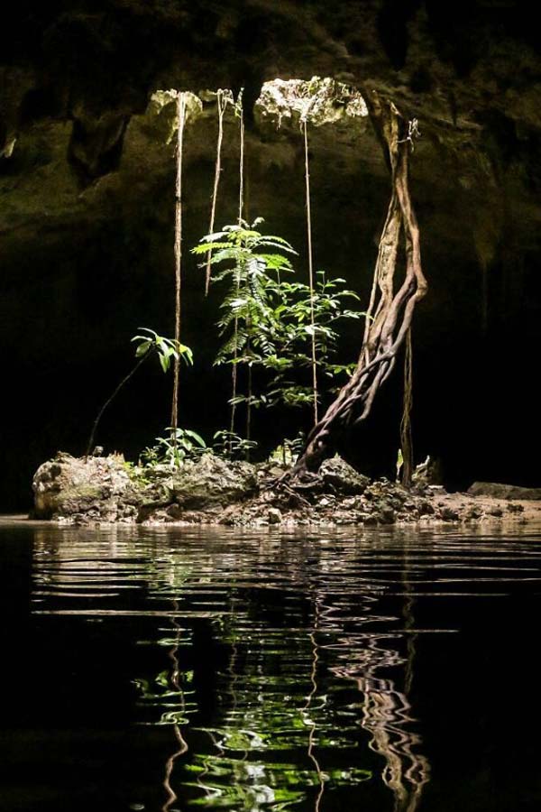 Cenote Exploration Private Experience