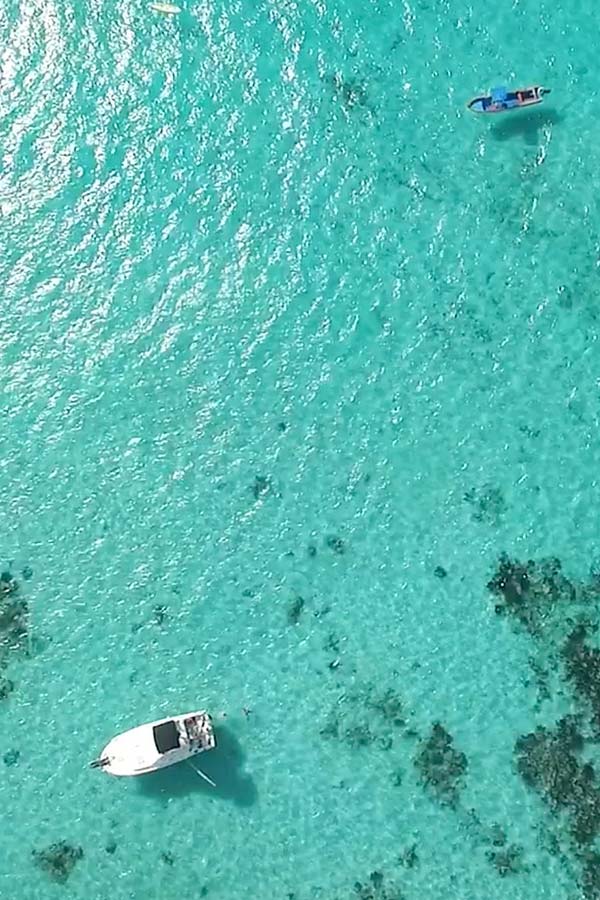 Coral Reef Snorkeling in Puerto Morelos