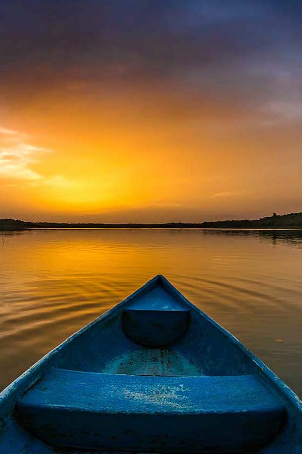 Coba Ruins, Cenote, Coqui Coqui, Mayan Village, Jungle Hike & Lagoon