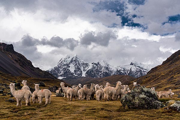 photo expedition THE PERUVIAN ANDES & CUSCO